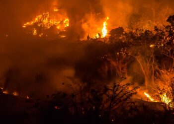 Incendios Forestales